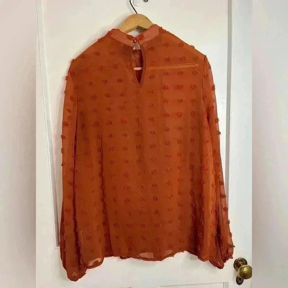 SHEIN Orange Blouse with Pom Poms and a Singapore Collar Size  Lg. - Picture 6 of 10